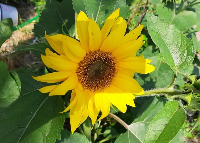 Holiday home La Maison De Joanna 2 *