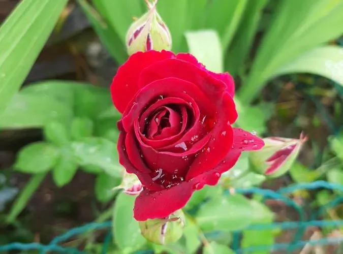 Holiday home La Maison De Joanna 2