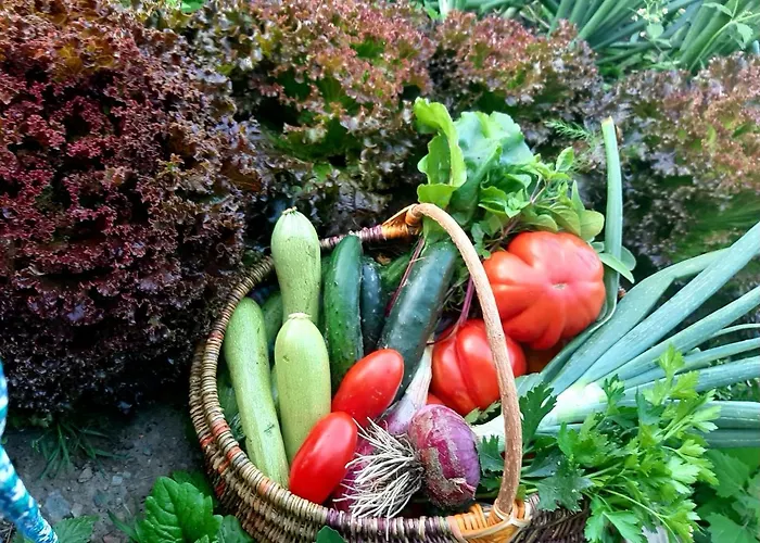 La Maison De Joanna 2 Holiday home *